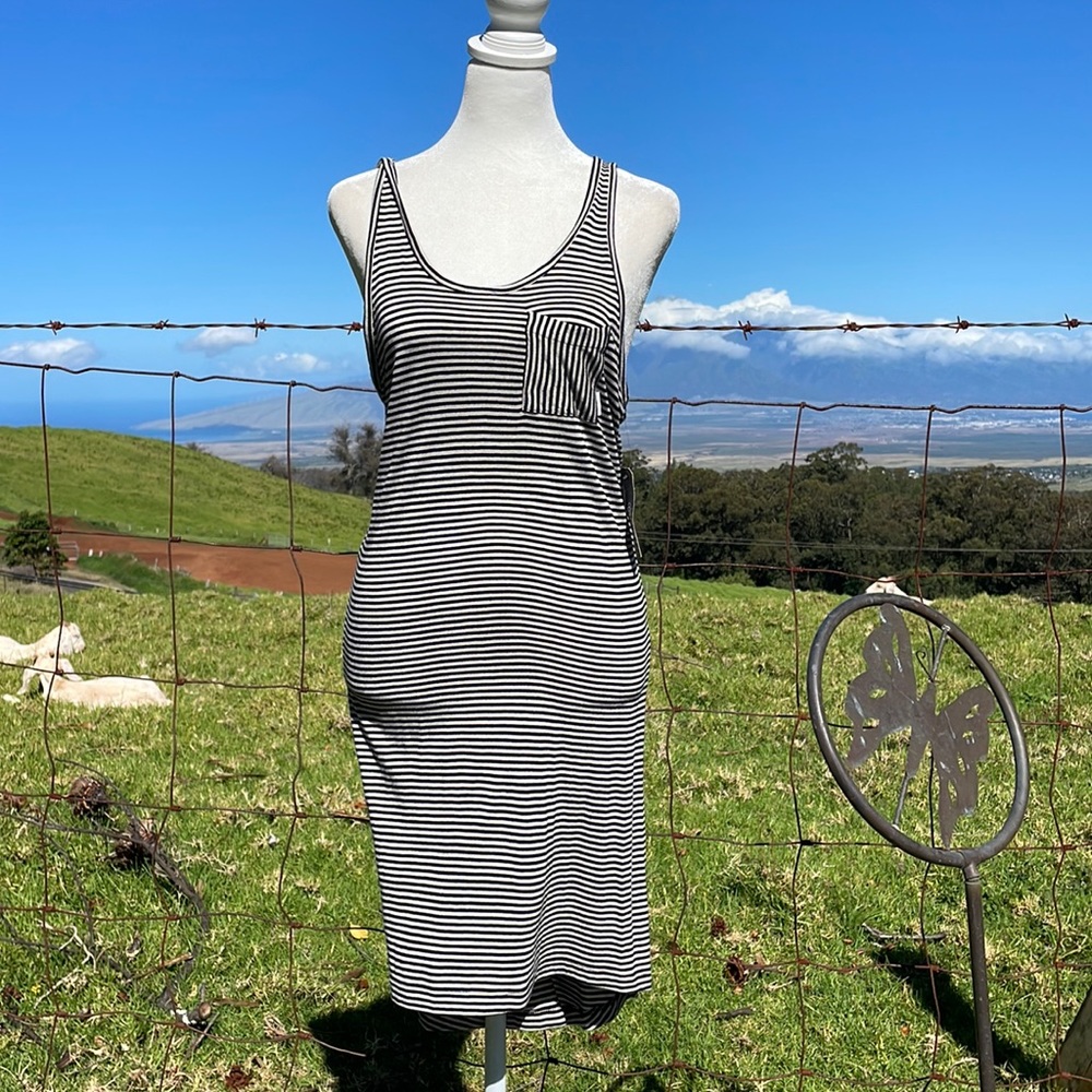 NWT Element Striped Tank Knit Skate Dress M